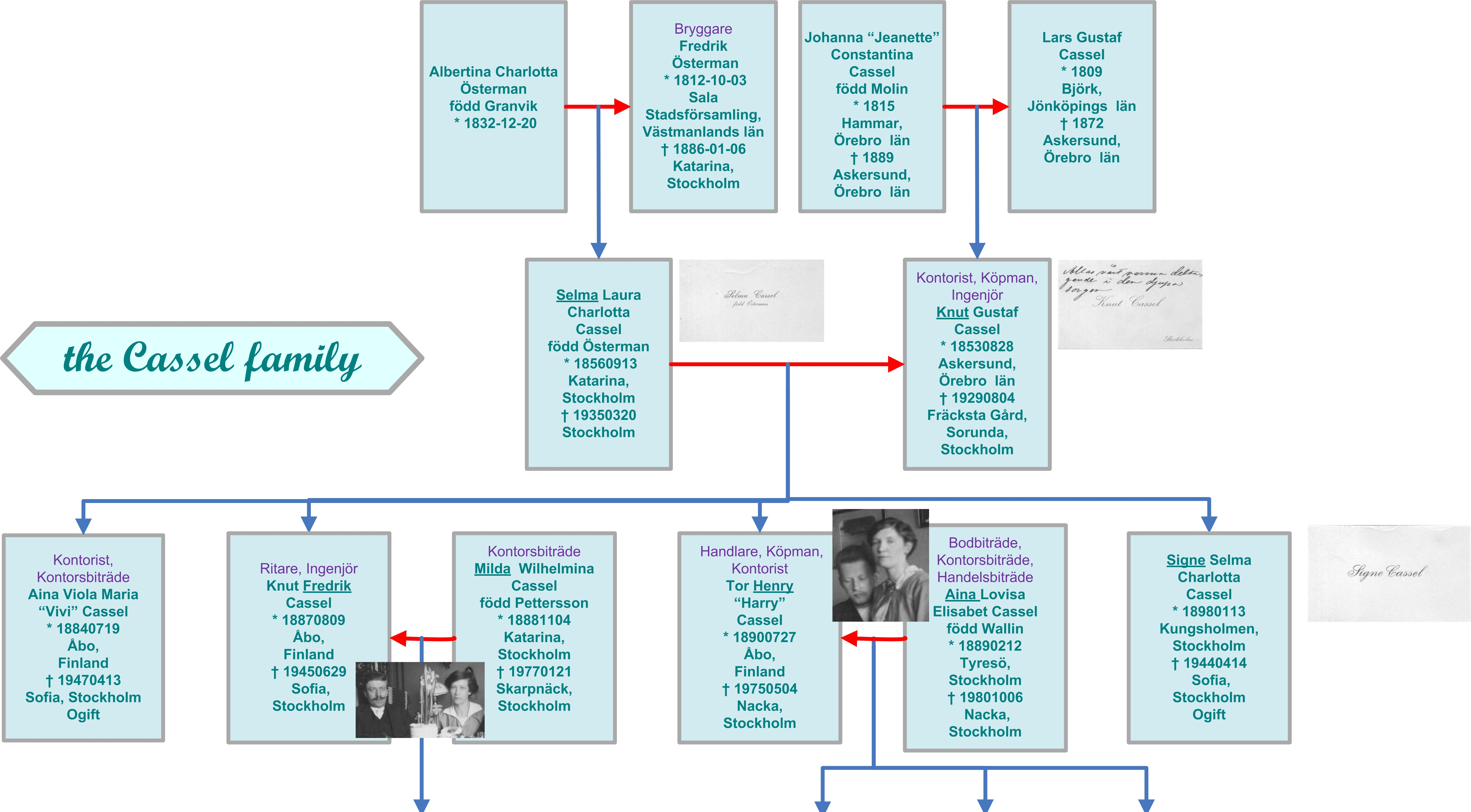 Family tree of the Cassels